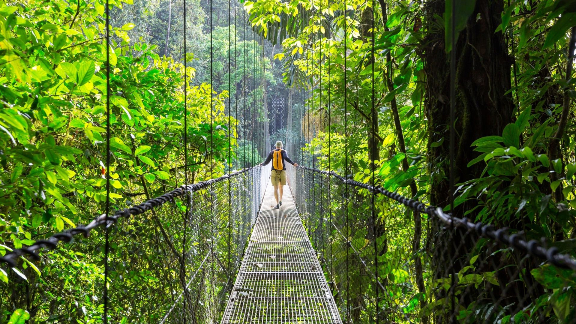Costa Rica del Caribe al Pacífico